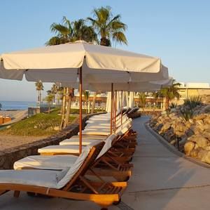 Meet your Posher, Bernardine